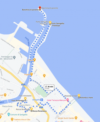 senigallia.png